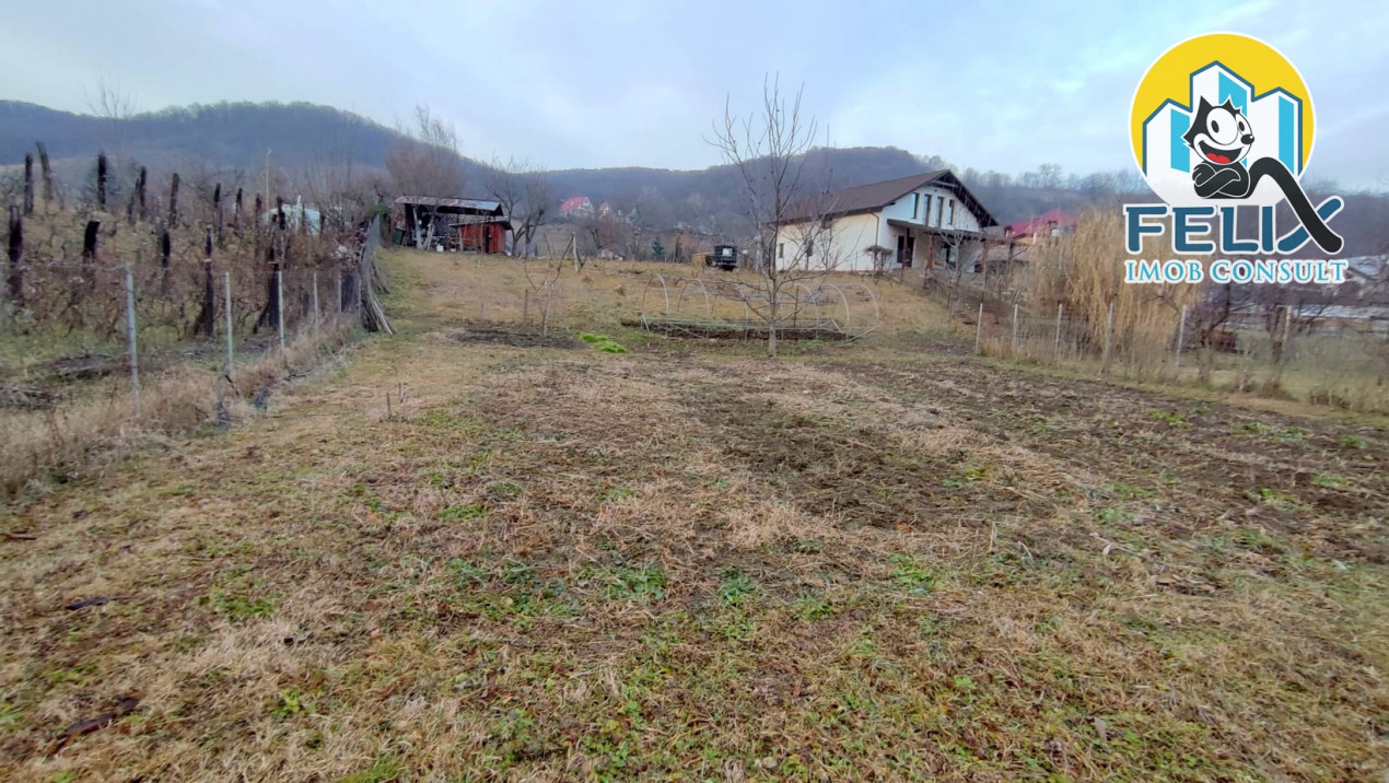 Valea Budului, jud Bacau, 2400 mp teren intre case, la poala padurii