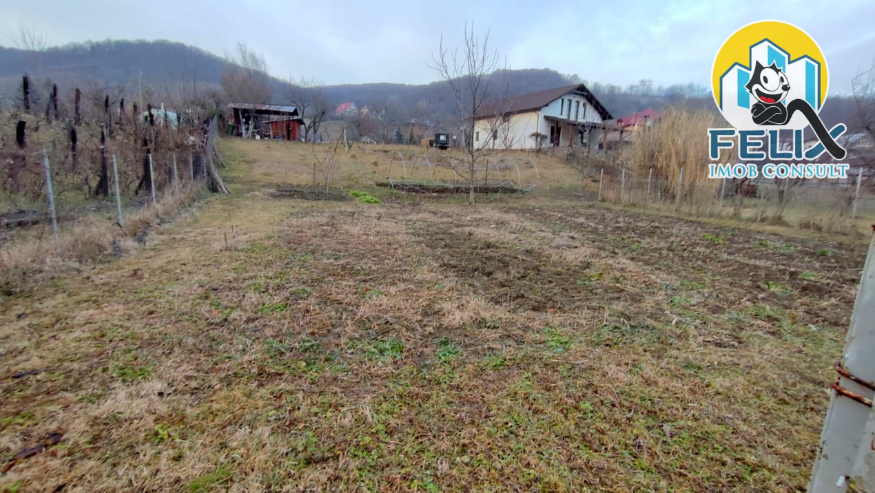 Valea Budului, jud Bacau, 2400 mp teren intre case, la poala padurii