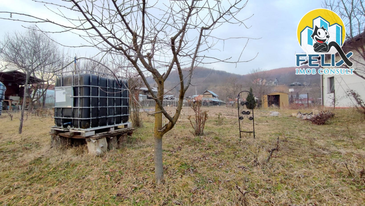 Valea Budului, jud Bacau, 2400 mp teren intre case, la poala padurii