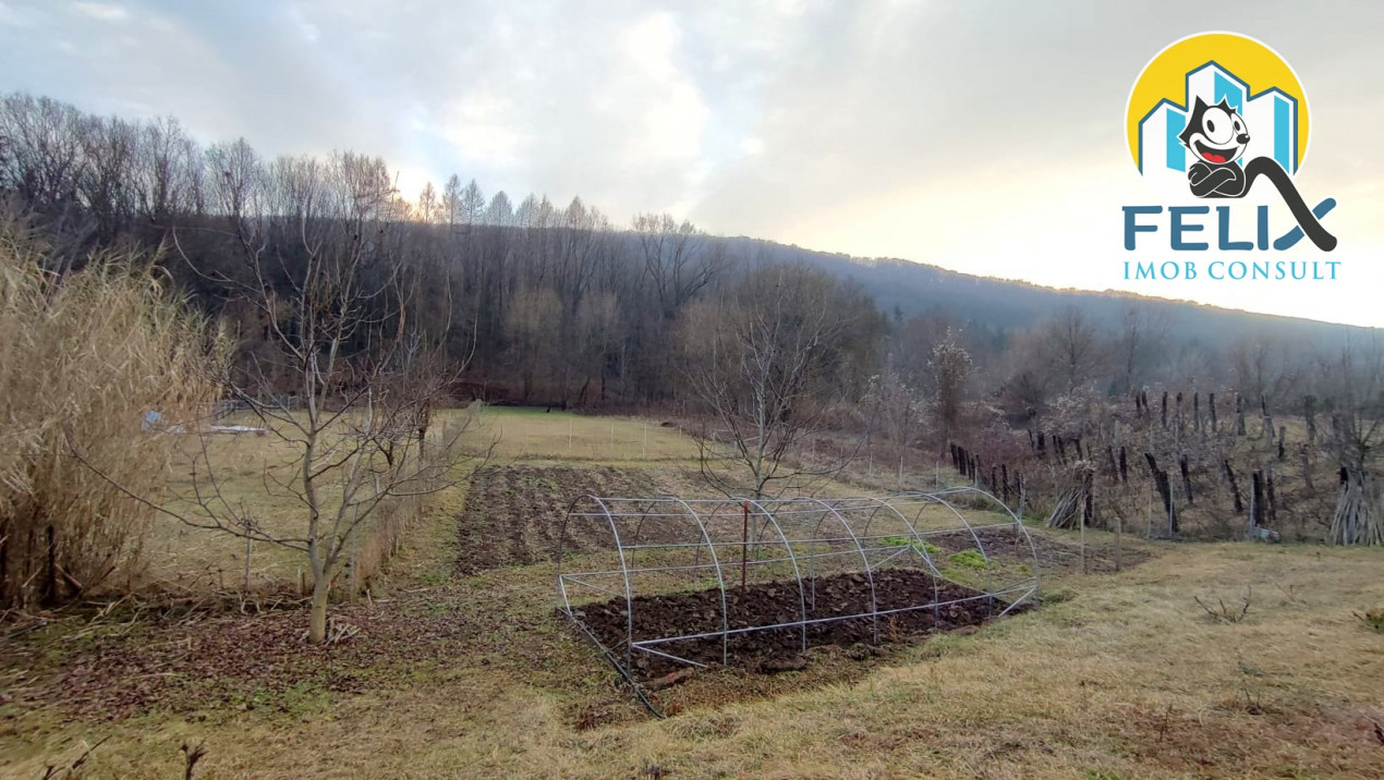 Valea Budului, jud Bacau, 2400 mp teren intre case, la poala padurii