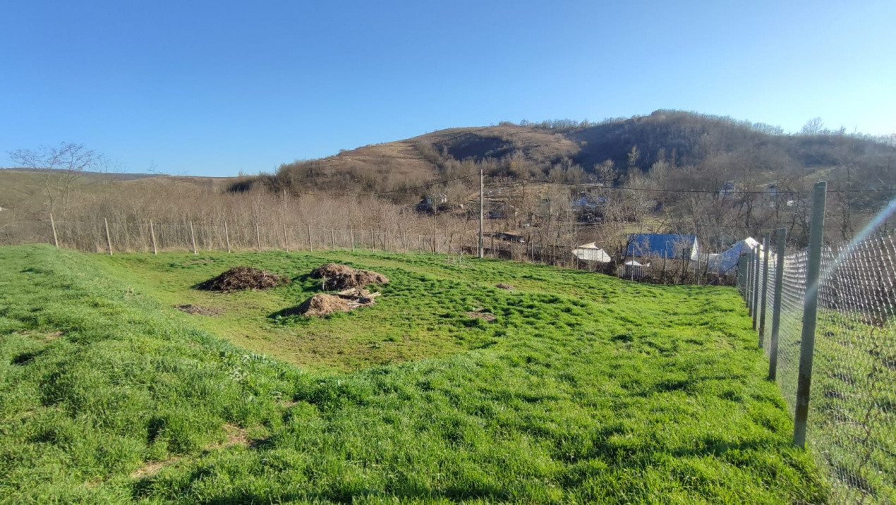 Teren intravilan 600 mp – Locul perfect pentru casa ta în Mărgineni