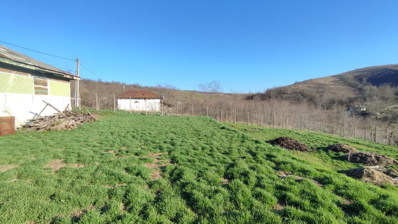 Teren intravilan 600 mp – Locul perfect pentru casa ta în Mărgineni