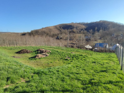 Teren intravilan 600 mp – Locul perfect pentru casa ta în Mărgineni