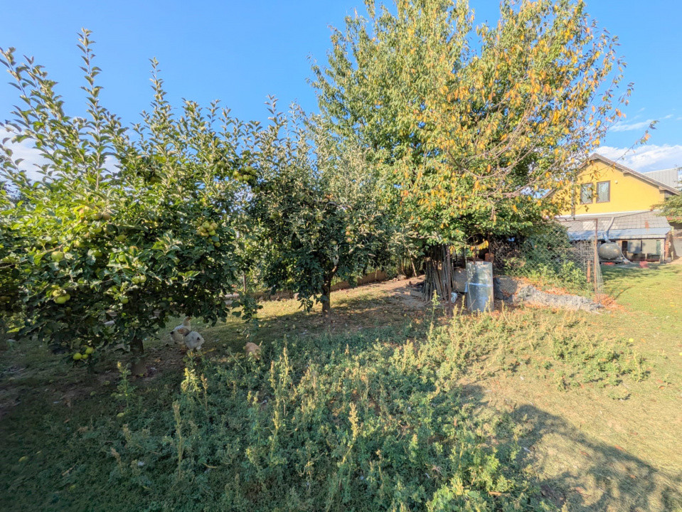 Casa - Letea Veche, la Str Principala, construcție 2005, teren 1200 mp,