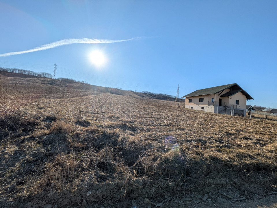 Teren de vânzare în Mărgineni – oportunitate excelentă pentru investiție sau dez