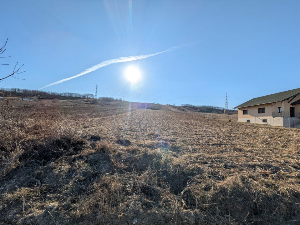 Teren de vânzare în Mărgineni – oportunitate excelentă pentru investiție sau dez