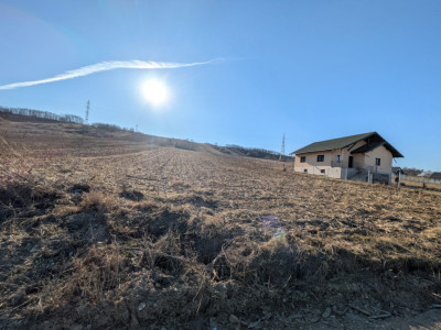 Teren de vânzare în Mărgineni – oportunitate excelentă pentru investiție sau dez